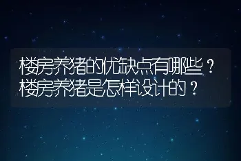 楼房养猪的优缺点有哪些？楼房养猪是怎样设计的？