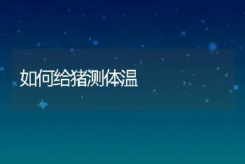 淡水鲨鱼的养殖技术