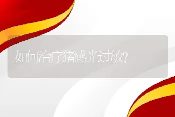 狐品种:银霜狐