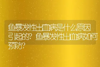 鱼暴发性出血病是什么原因引起的?鱼暴发性出血病如何预防?