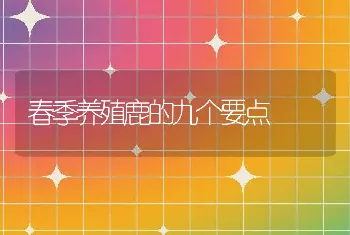 春季养殖鹿的九个要点