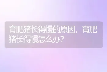 育肥猪长得慢的原因，育肥猪长得慢怎么办？