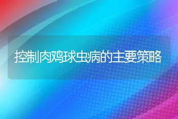 控制肉鸡球虫病的主要策略