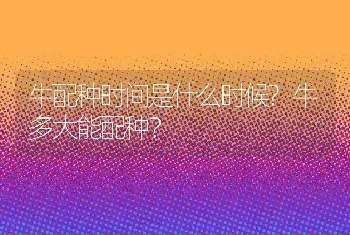 牛配种时间是什么时候?牛多大能配种？