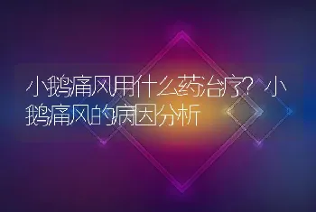 小鹅痛风用什么药治疗？小鹅痛风的病因分析