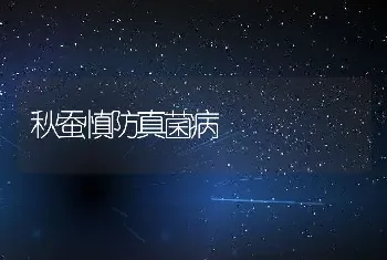 秋蚕慎防真菌病