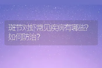 斑节对虾常见疾病有哪些?如何防治？