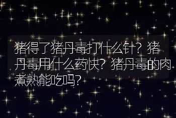 猪得了猪丹毒打什么针？猪丹毒用什么药快？猪丹毒的肉煮熟能吃吗？