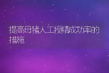 提高母猪人工授精成功率的措施