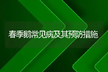 春季鹅常见病及其预防措施