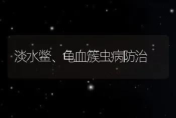 淡水鳖、龟血簇虫病防治