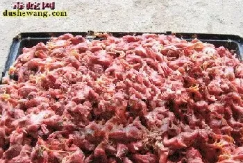 用什么食物养蛇好?