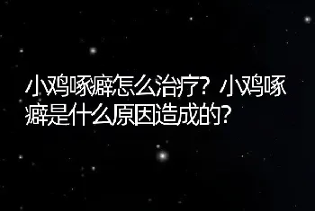 小鸡啄癖怎么治疗？小鸡啄癖是什么原因造成的？