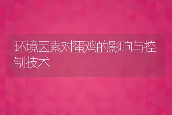 环境因素对蛋鸡的影响与控制技术