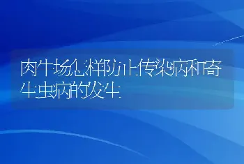 肉牛场怎样防止传染病和寄生虫病的发生