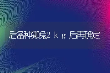 鸡虱及螨虫病的防治方法