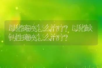 母猪瘫痪怎么治疗？母猪缺钙性瘫痪怎么治疗？