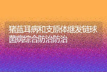 猪蓝耳病和支原体继发链球菌病综合防治防治