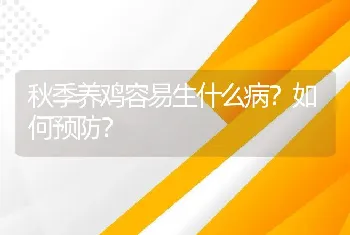 秋季养鸡容易生什么病？如何预防？