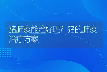 猪肺疫能治好吗?猪的肺疫治疗方案