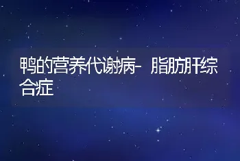 鸭的营养代谢病-脂肪肝综合症