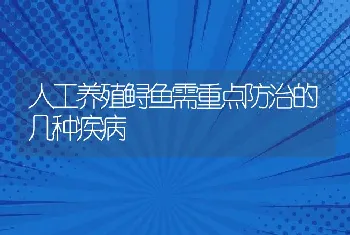 人工养殖鲟鱼需重点防治的几种疾病