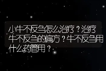 小牛不反刍怎么治疗？治疗牛不反刍的偏方？牛不反刍用什么药管用？