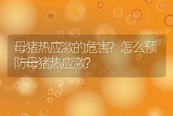 母猪热应激的危害?怎么预防母猪热应激?