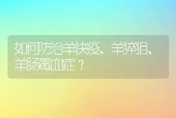 如何防治羊快疫、羊猝狙、羊肠毒血症？