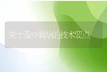 关于蚕豆栽培的技术要点