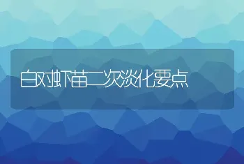 白对虾苗二次淡化要点