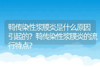 鸭传染性浆膜炎是什么原因引起的？鸭传染性浆膜炎的流行特点？