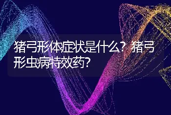 猪弓形体症状是什么？猪弓形虫病特效药？