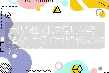 牛结节性皮肤病是怎么样引起的？牛得了牛结节性皮肤病治疗方法？