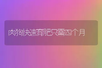 仔猪暴发伪狂犬病并发链球菌、大肠杆菌诊治