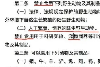 深圳将成为大陆首个立法禁食宠物猫狗城市:5月1日正式实施!