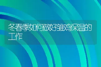 冬春季如何做好雏鸡保温的工作