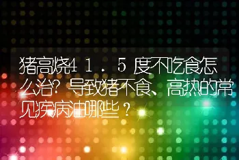 猪高烧41.5度不吃食怎么治?导致猪不食、高热的常见疾病油哪些？