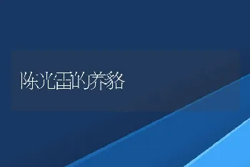 清华硕士回山里养羊喂鸡 一枚鸡蛋卖3块钱