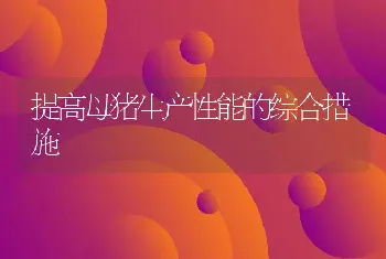 提高母猪生产性能的综合措施