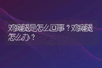 鸡瘫腿是怎么回事？鸡瘫腿怎么办？