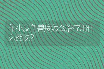 羊小反刍兽疫怎么治疗用什么药快？