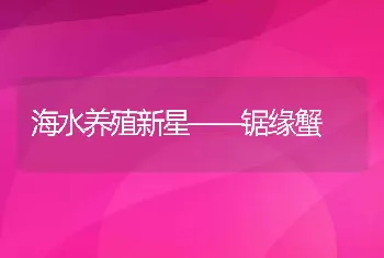 海水养殖新星――锯缘蟹