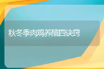 秋冬季肉鸡养殖四诀窍