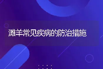 滩羊常见疾病的防治措施