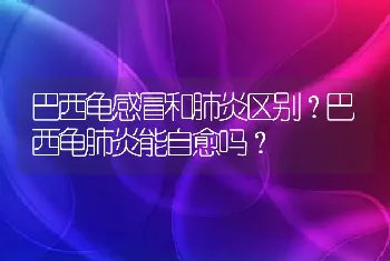 巴西龟感冒和肺炎区别？巴西龟肺炎能自愈吗？