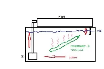 水族箱使用加热棒的注意事项