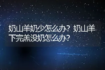 奶山羊奶少怎么办？奶山羊下完羔没奶怎么办？