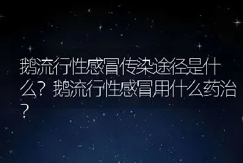 鹅流行性感冒传染途径是什么？鹅流行性感冒用什么药治？