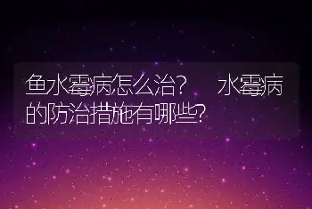 鱼水霉病怎么治？ 水霉病的防治措施有哪些?